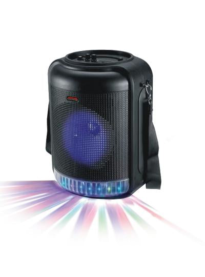 6.5" - 6" Woofers Portable Speaker with Mic, Remote & Shoulder Strap